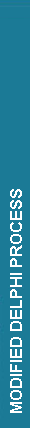 Modified Delphi Process